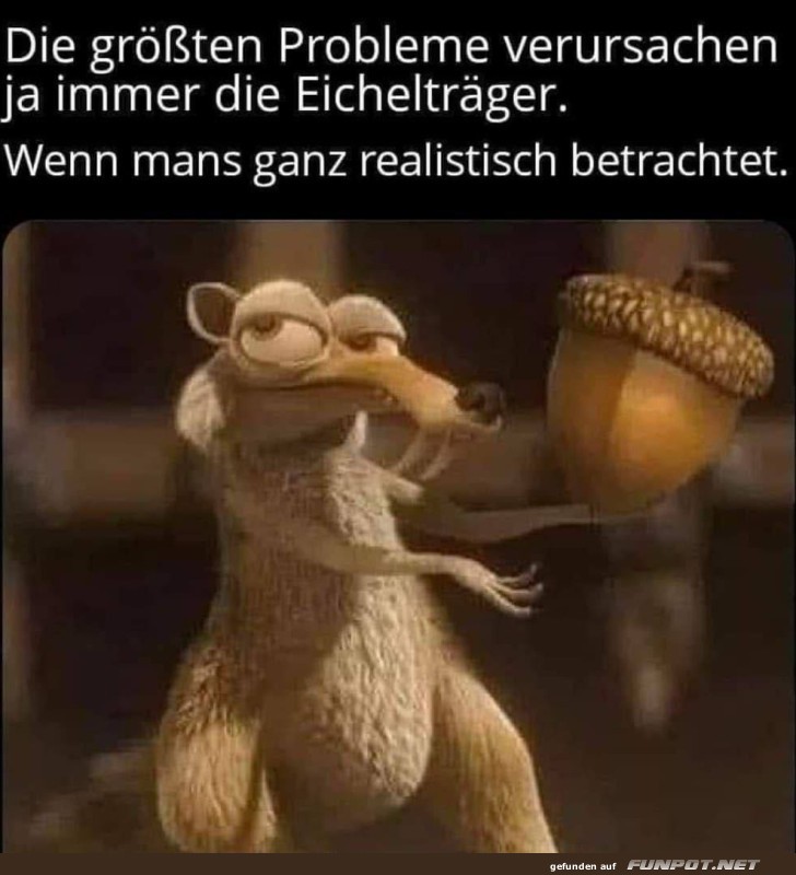 Eichhörnchenproblem humorvoll dargestellt Eichhörnchenproblem humorvoll dargestellt