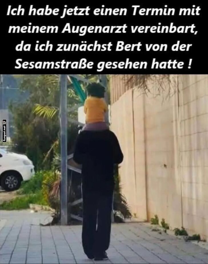 Optische Täuschung mit 'Bert von der Sesamstraße' Optische Täuschung mit 'Bert von der Sesamstraße'