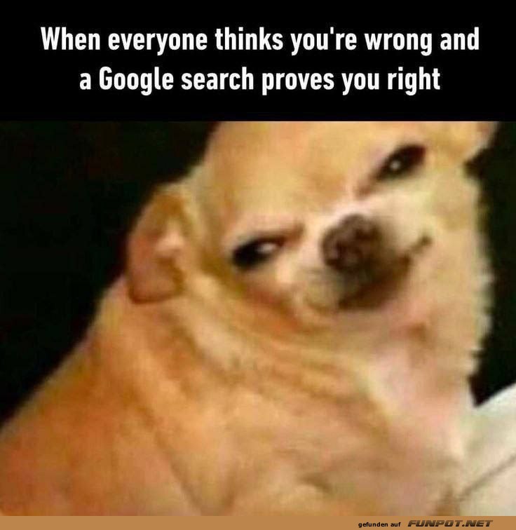 Wenn Google dich bestätigt Wenn Google dich bestätigt