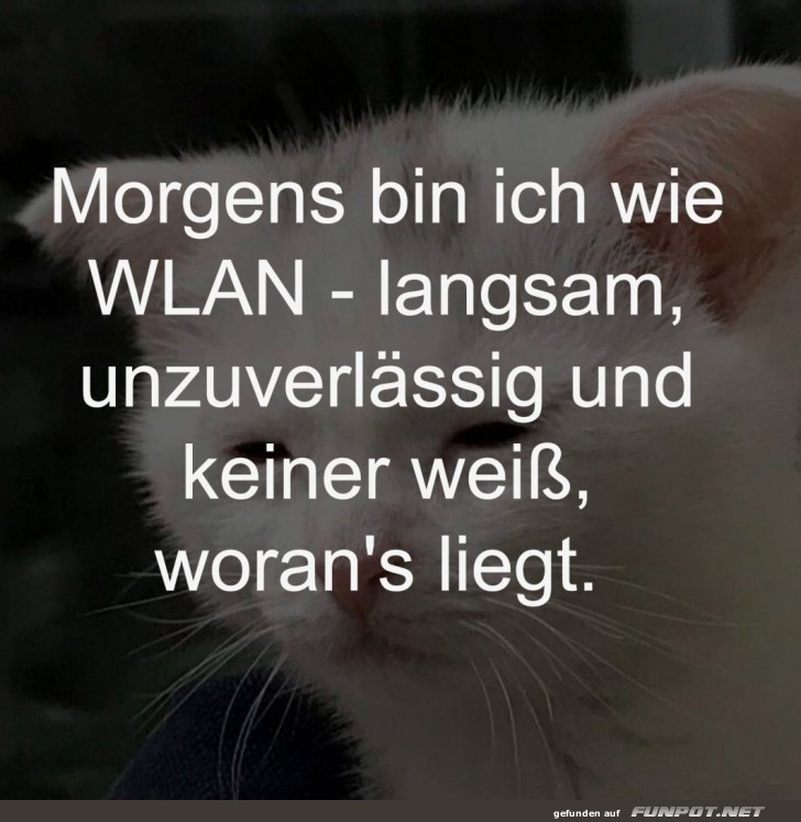 Morgens bin ich wie WLAN Morgens bin ich wie WLAN