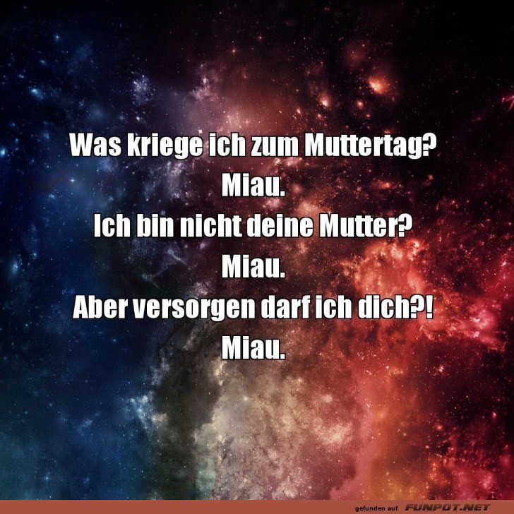 Lustiger Muttertagsdialog mit Katze Lustiger Muttertagsdialog mit Katze