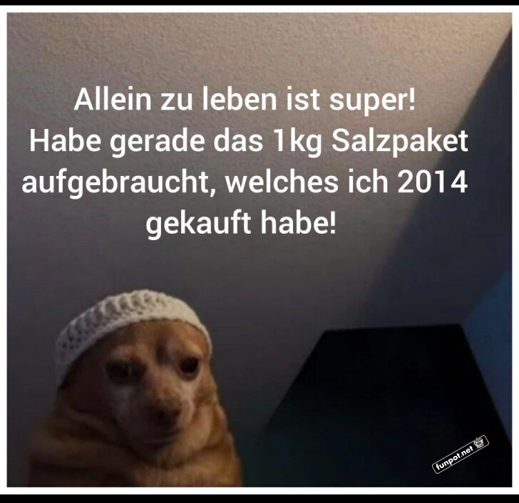 Allein zu leben ist super! Allein zu leben ist super!