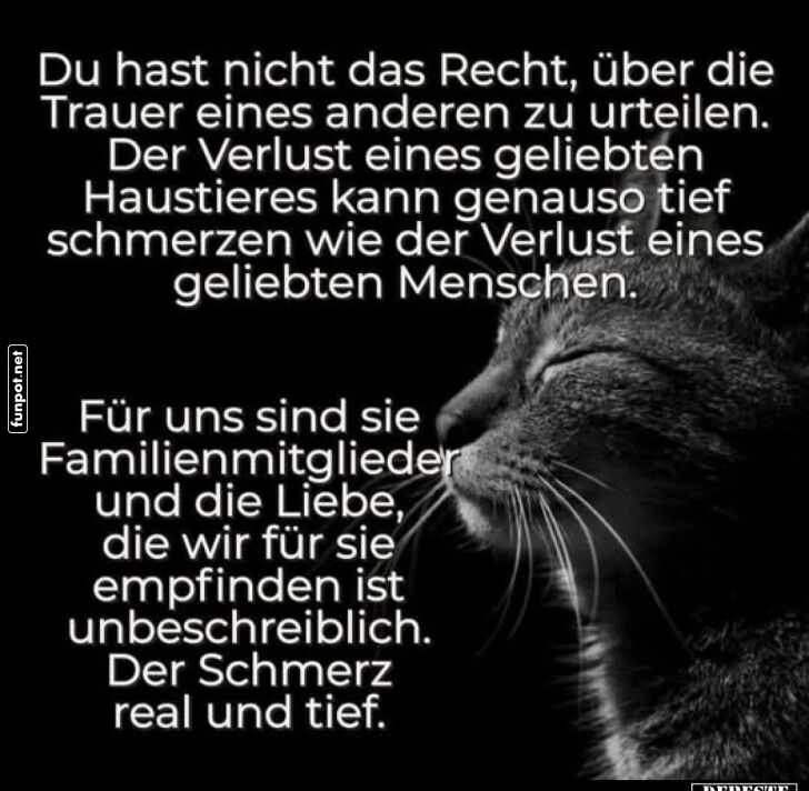 Verlust und Trauer um geliebte Haustiere Verlust und Trauer um geliebte Haustiere