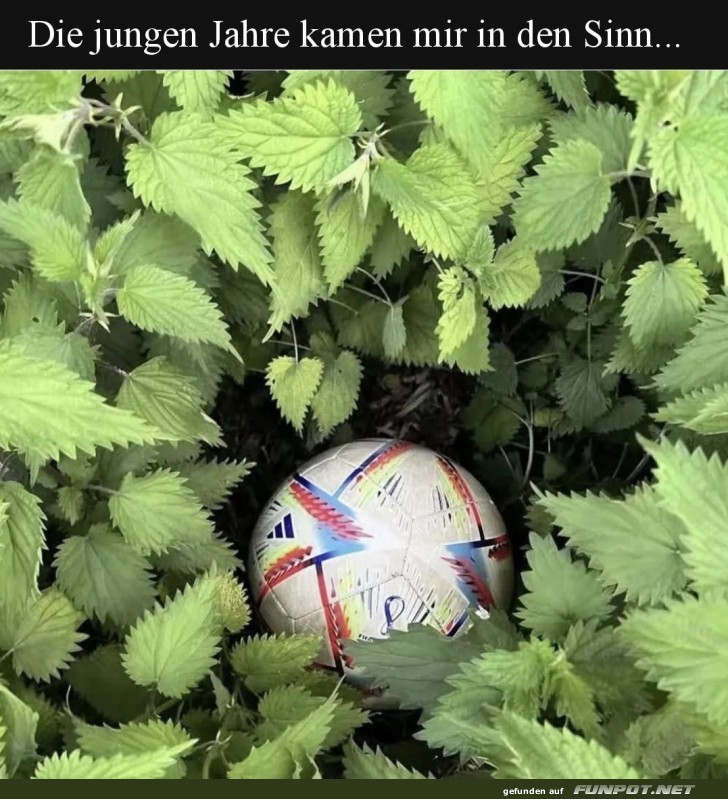 Vergessener Ball in der Natur Vergessener Ball in der Natur