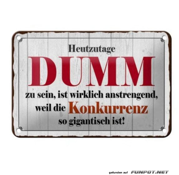 Witz über Dummheit und Konkurrenz Witz über Dummheit und Konkurrenz