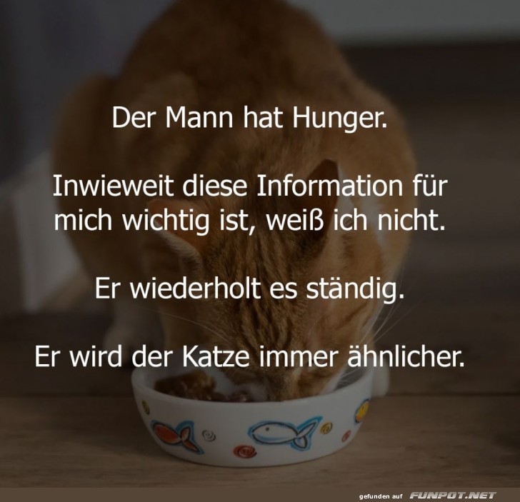 Der Mann und die Katze: Humor im Alltag Der Mann und die Katze: Humor im Alltag