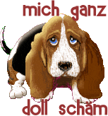 Hund schämt sich Hund schämt sich