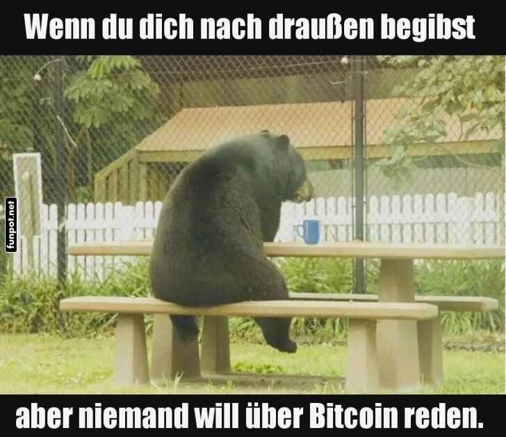 Einsamer Bär zum Thema Bitcoin Einsamer Bär zum Thema Bitcoin