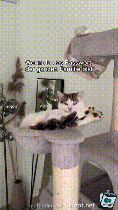 Passwort der ganzen Familie Passwort der ganzen Familie