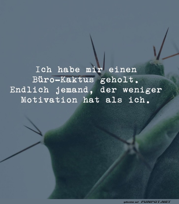 Humorvoller Büro-Kaktus Spruch Humorvoller Büro-Kaktus Spruch
