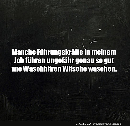 Witz über Führungsstärke Witz über Führungsstärke