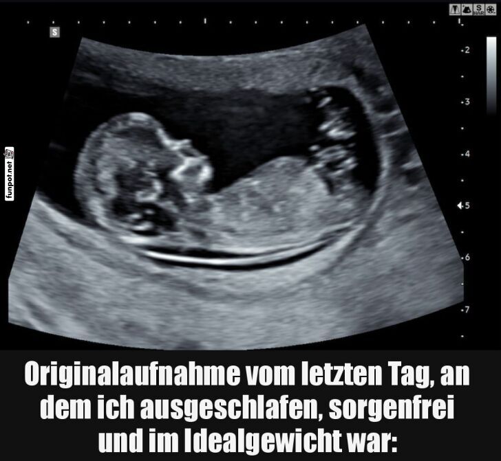Originalaufnahme vom sorgenfreien Tag Originalaufnahme vom sorgenfreien Tag