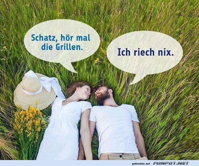 Lustiges Sommergespräch im Gras Lustiges Sommergespräch im Gras