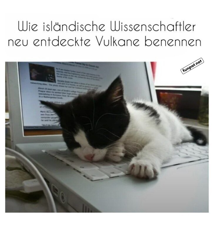 Schlafende Katze auf Laptop Schlafende Katze auf Laptop