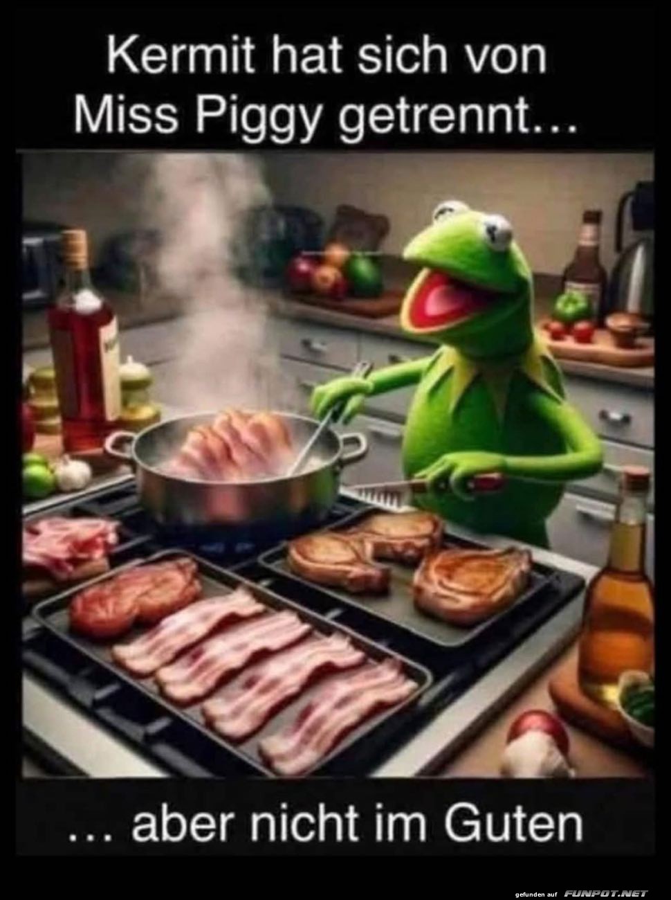 Kermit kocht nach Trennung von Miss Piggy Kermit kocht nach Trennung von Miss Piggy