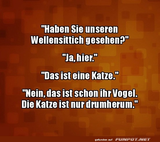Lustiger Dialog über einen vermissten Vogel Lustiger Dialog über einen vermissten Vogel