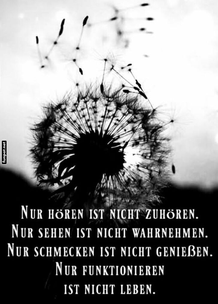 Nachdenkliches Zitat mit Löwenzahn Nachdenkliches Zitat mit Löwenzahn