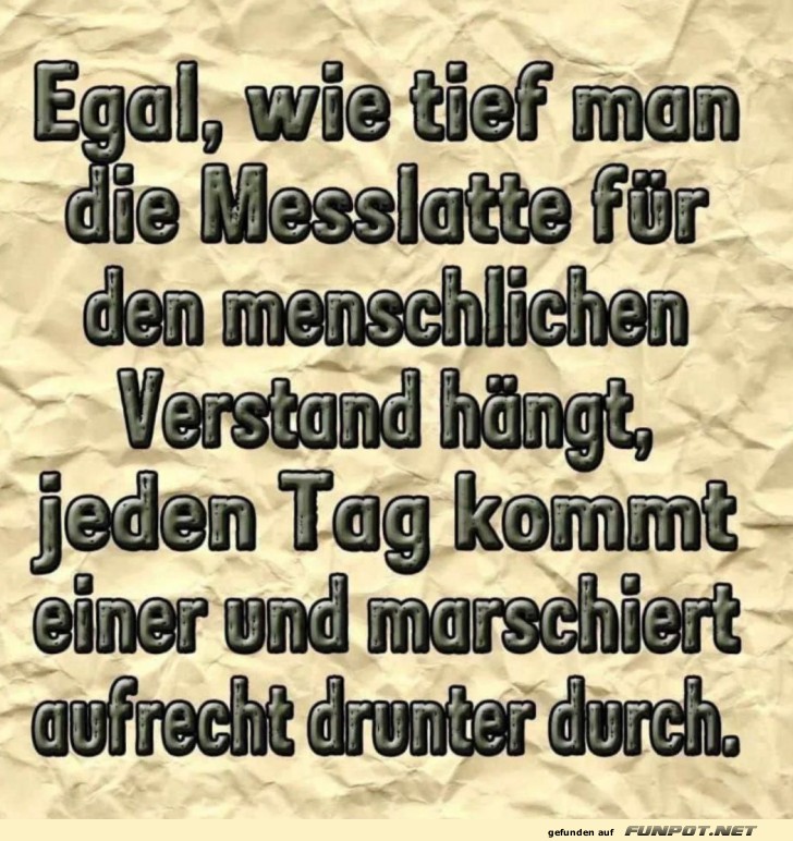Lustiger Spruch über menschlichen Verstand Lustiger Spruch über menschlichen Verstand