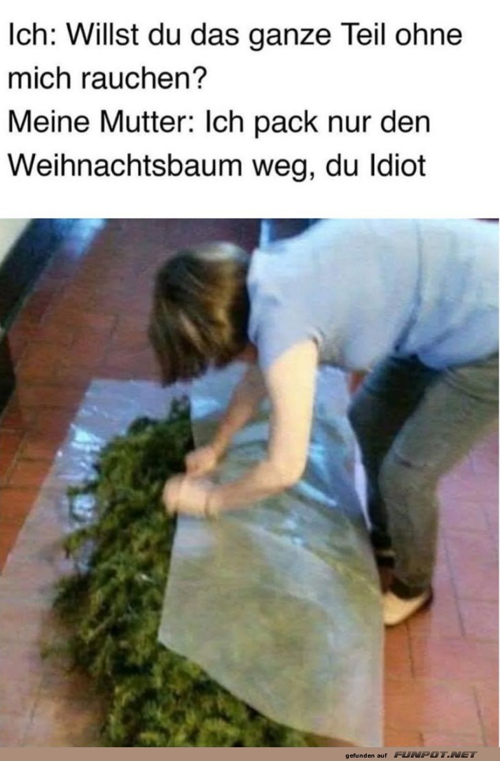 Missverständnis beim Baumentsorgen Missverständnis beim Baumentsorgen