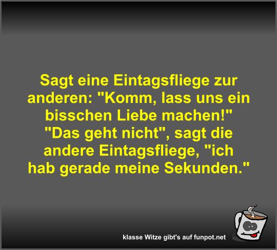 Sagt eine Eintagsfliege zur anderen Sagt eine Eintagsfliege zur anderen