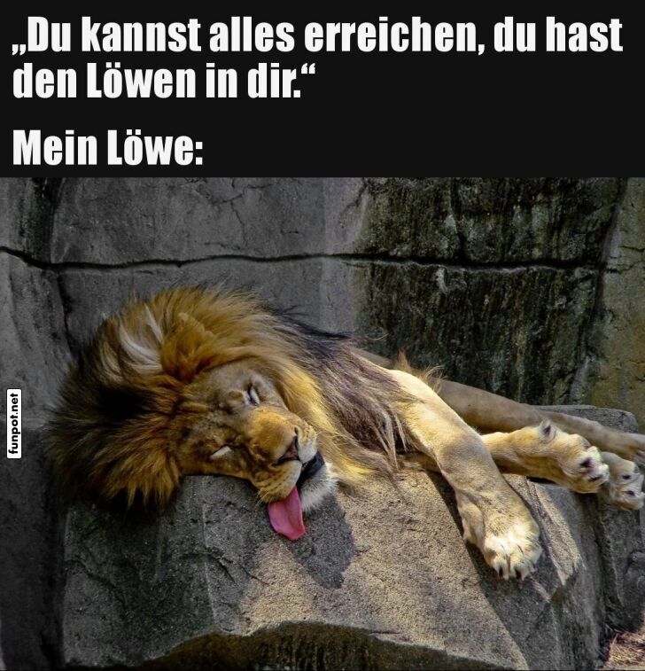 Motivation mit schlafendem Löwen Motivation mit schlafendem Löwen