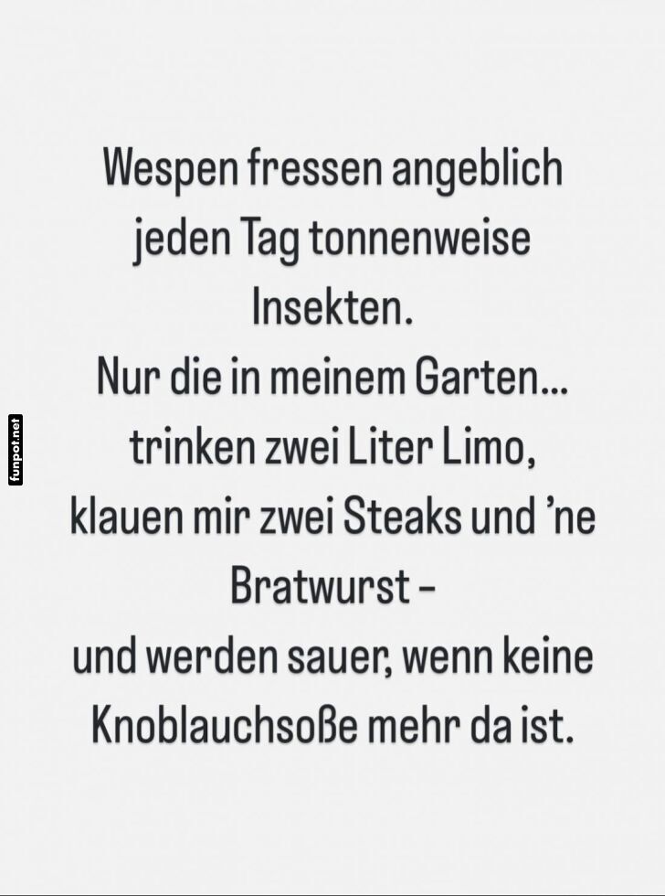 Witz über Wespen und Gartenverhalten Witz über Wespen und Gartenverhalten