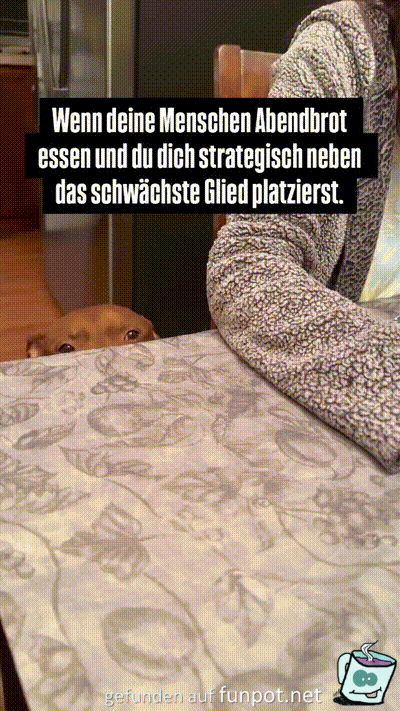 Sich taktisch klug platzieren Sich taktisch klug platzieren