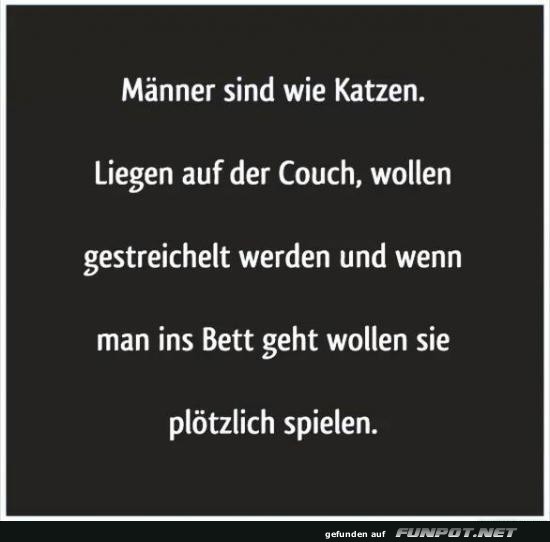 Männer sind wie Katzen Männer sind wie Katzen