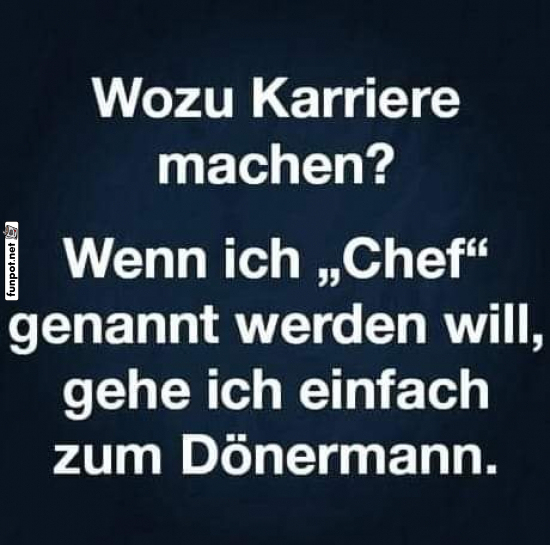 Wozu Karriere machen? Humorvolle Perspektive Wozu Karriere machen? Humorvolle Perspektive
