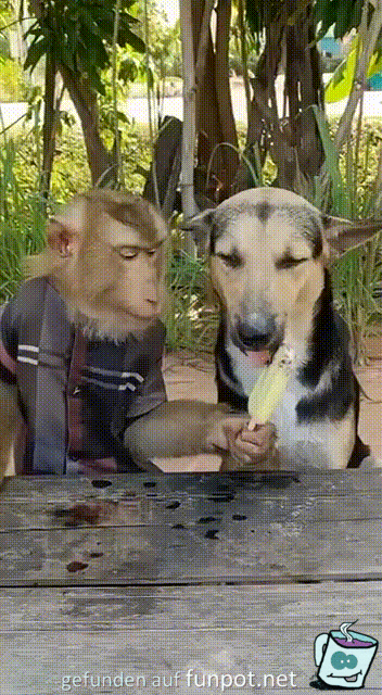 Das Eis teilen Das Eis teilen