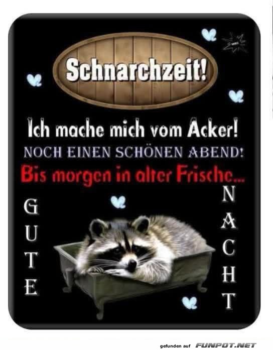 Zeit für Schlaf mit niedlichem Waschbär Zeit für Schlaf mit niedlichem Waschbär