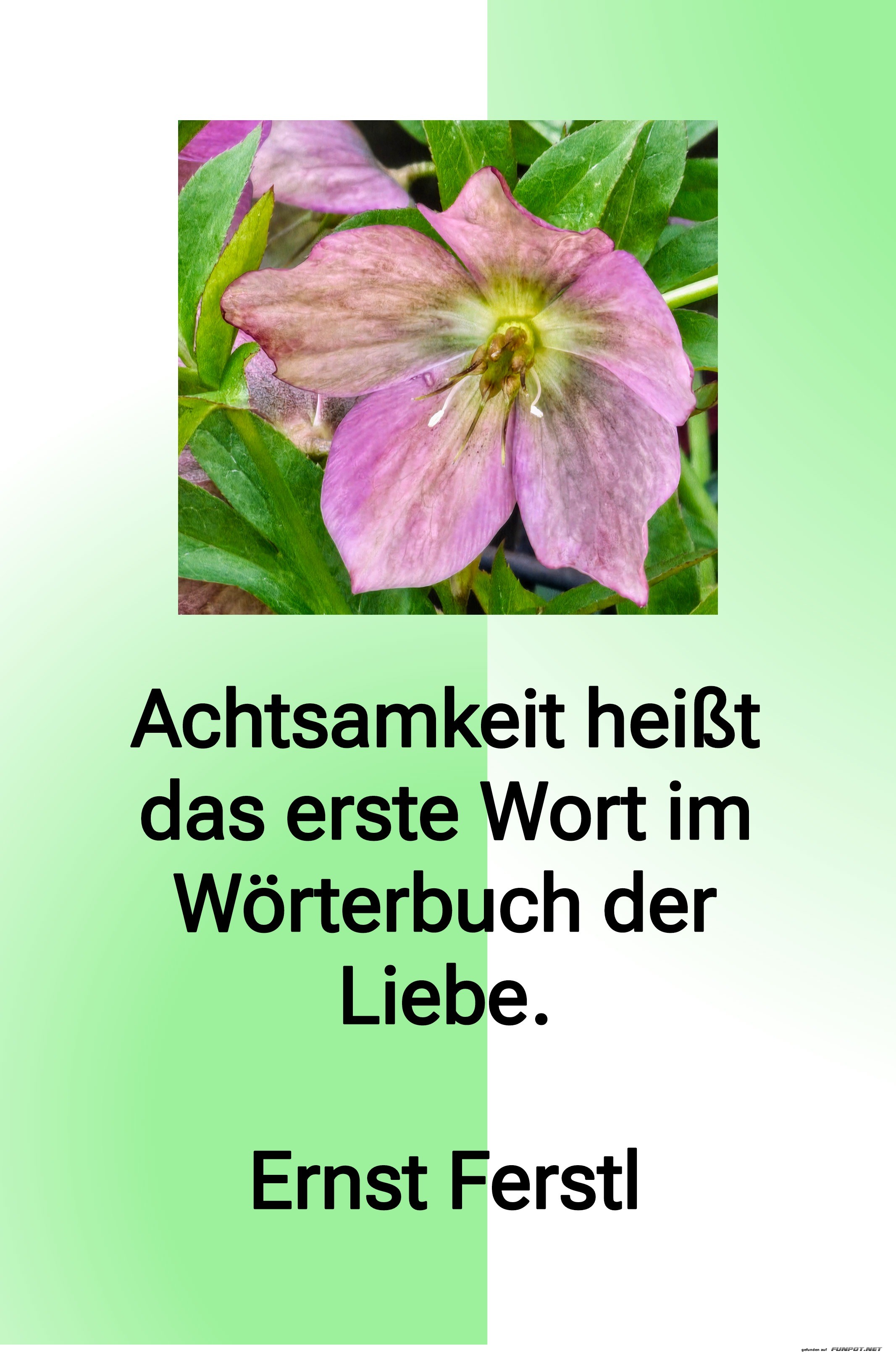 achtsamkeit heit