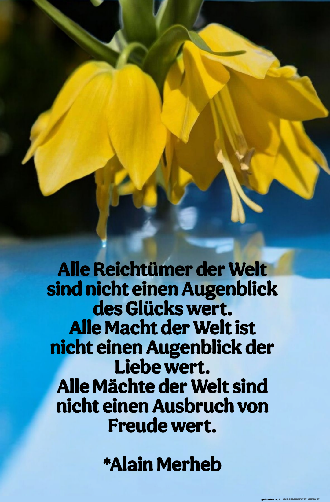 alle reichtümer der welt alle reichtümer der welt