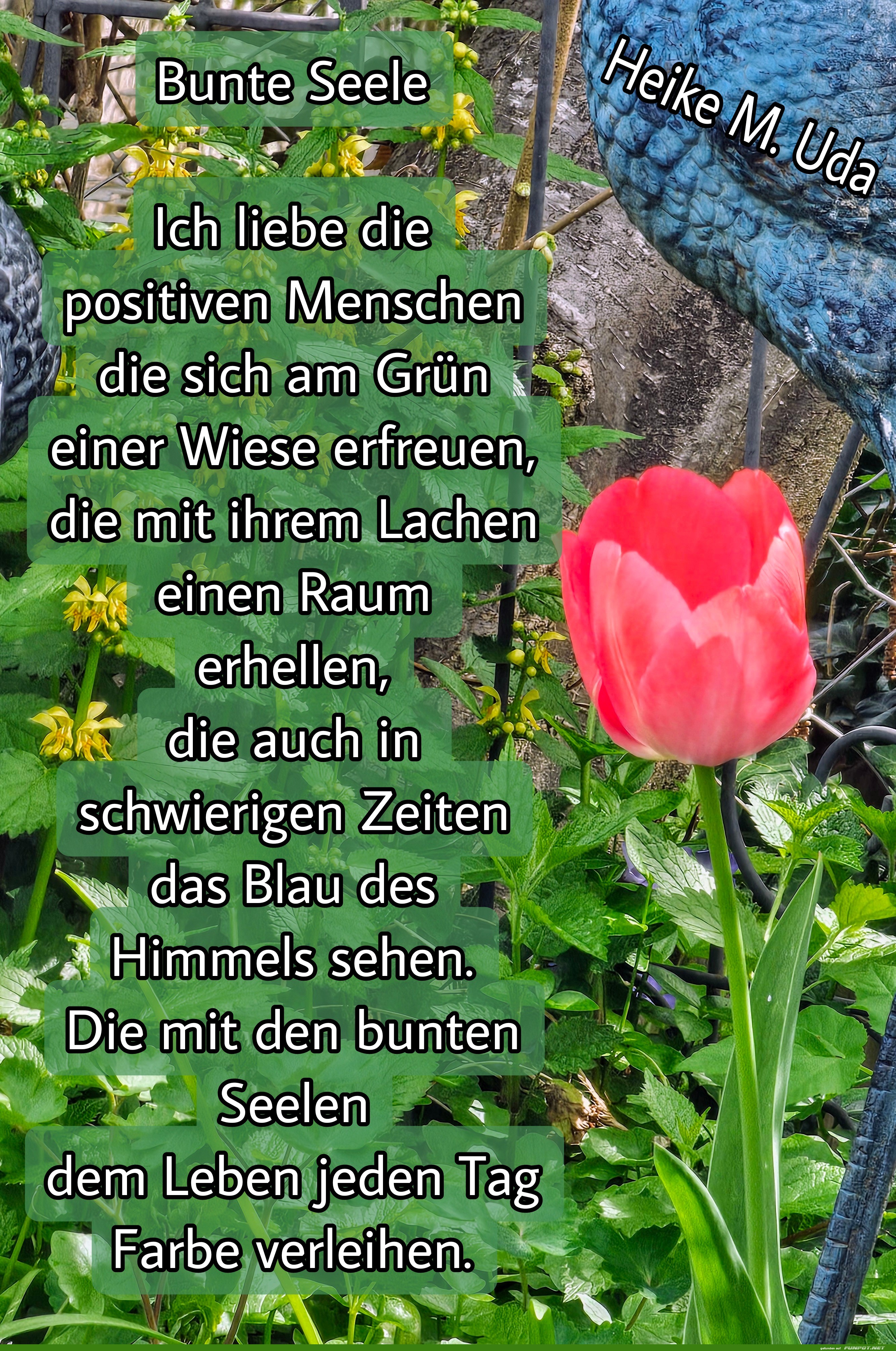 bunte seele bunte seele