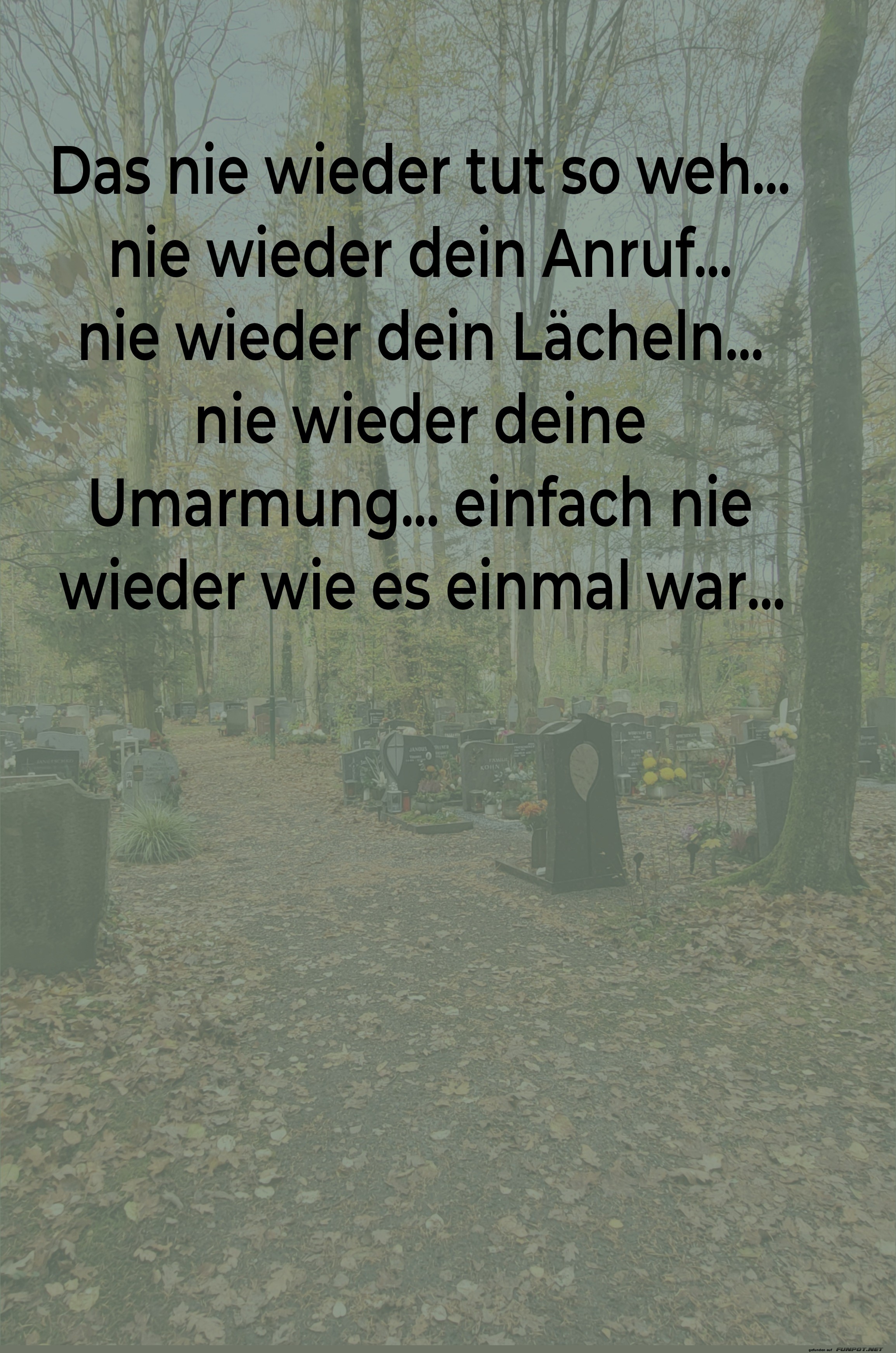 das nie wieder tut so weh das nie wieder tut so weh