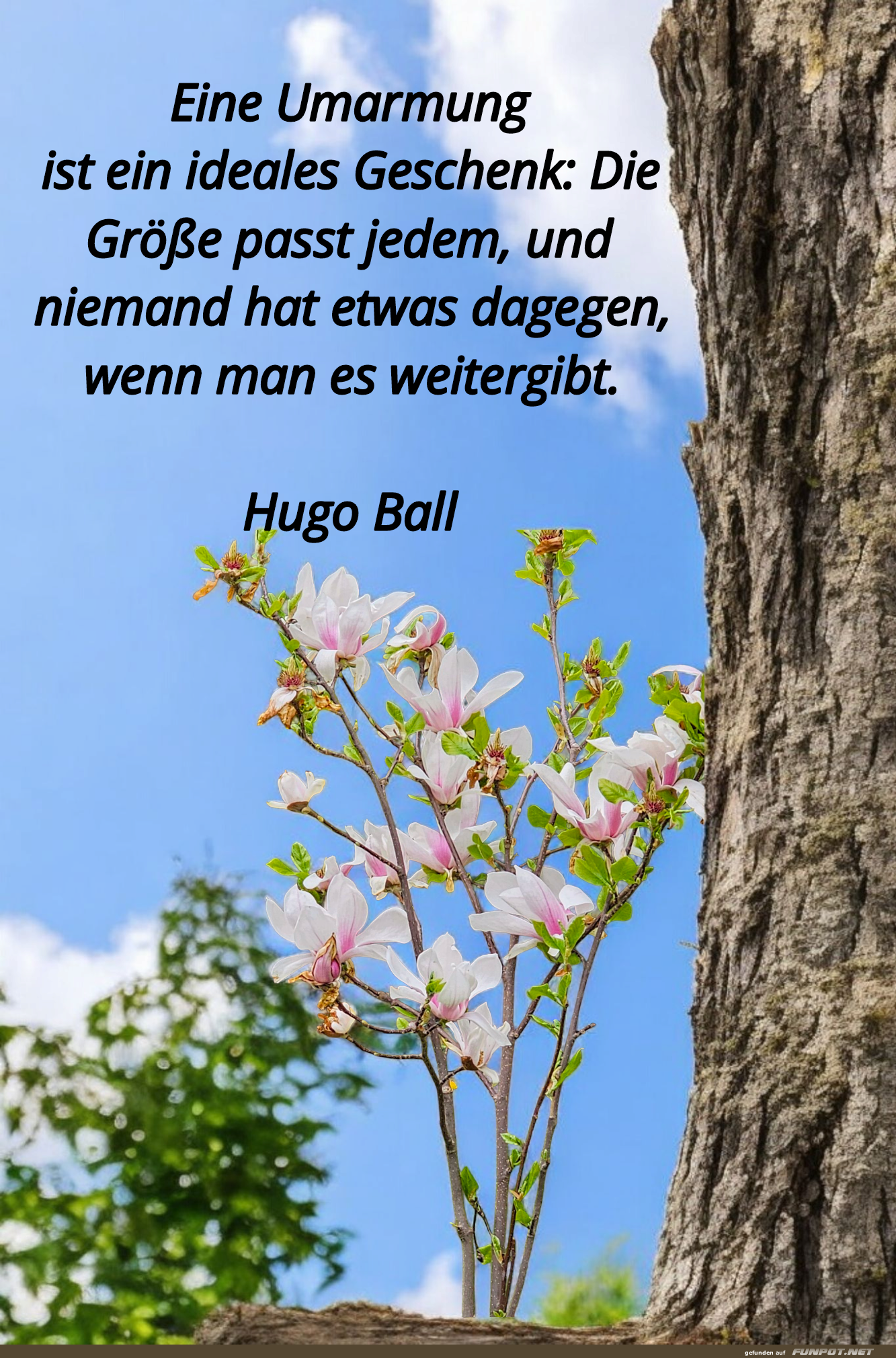 eine umarmung ist ein ideales geschenk eine umarmung ist ein ideales geschenk