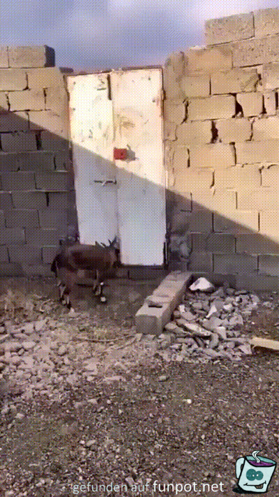 Ich brauche keine Türe Ich brauche keine Türe
