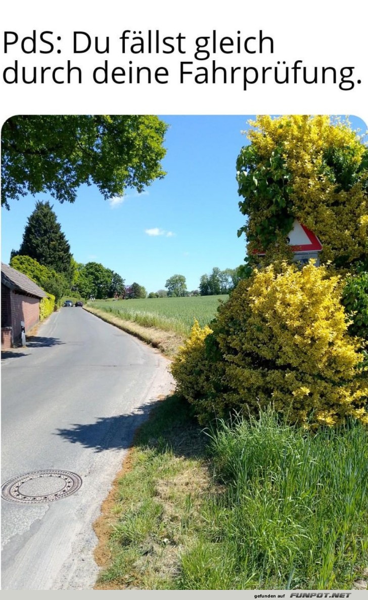 Verstecktes Verkehrsschild am Straßenrand Verstecktes Verkehrsschild am Straßenrand