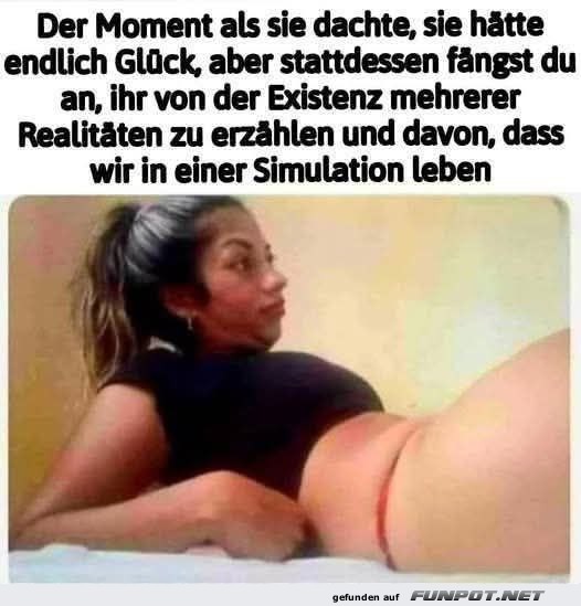 Unerwartete Diskussion über Simulationen Unerwartete Diskussion über Simulationen