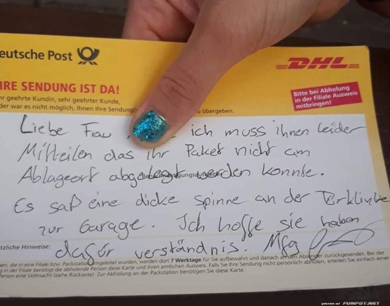 Paket nicht geliefert wegen Spinne Paket nicht geliefert wegen Spinne