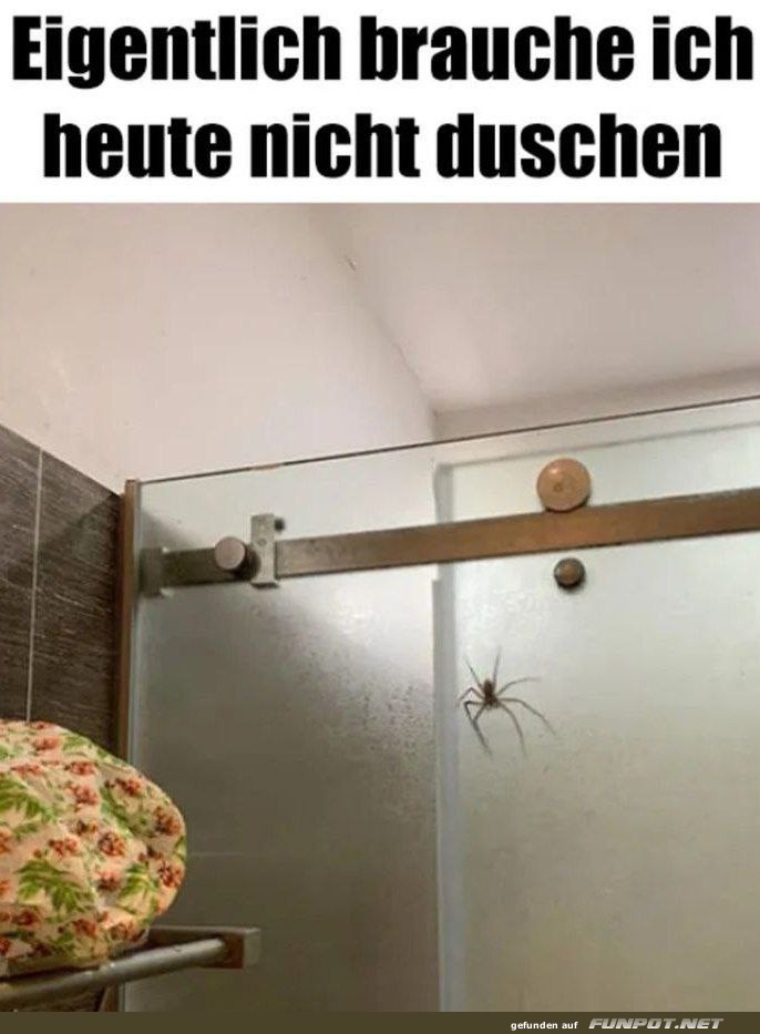 witzige Bilder aus verschiedenen Blogs