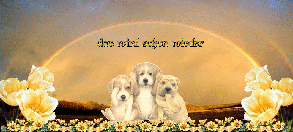 Das wird schon wieder Das wird schon wieder
