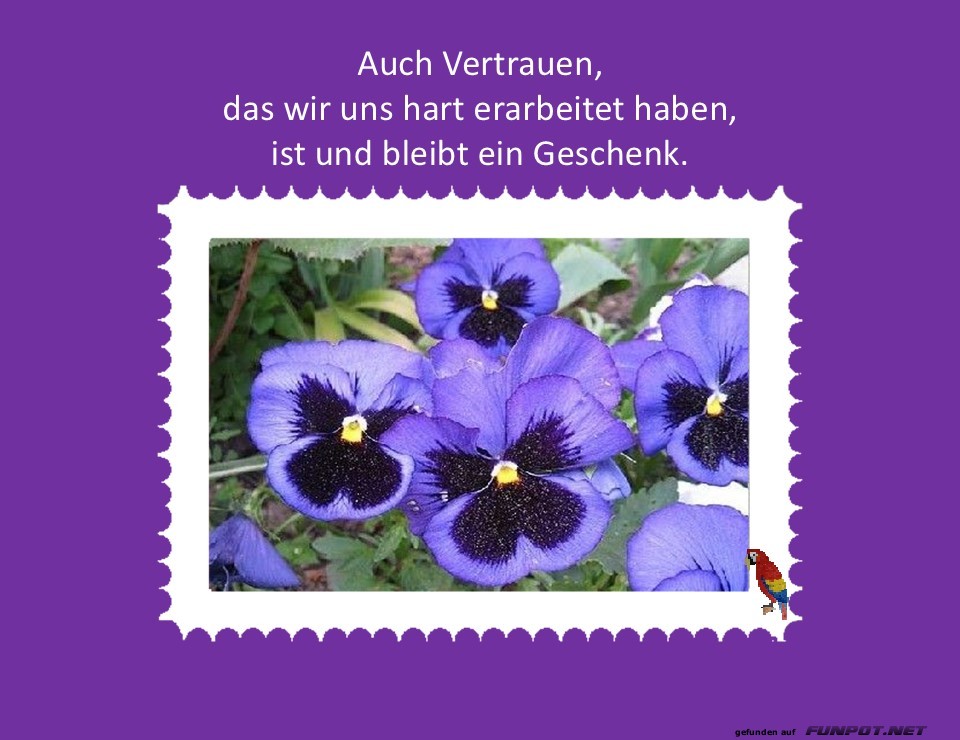 Auch Vertrauen Auch Vertrauen