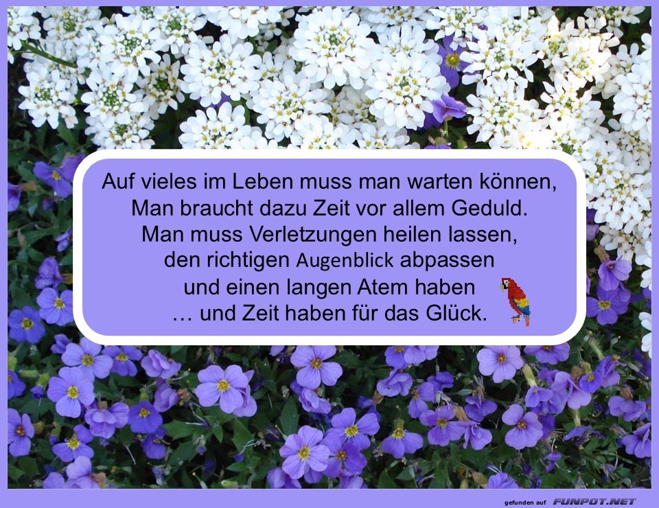 Auf vieles im Leben Auf vieles im Leben