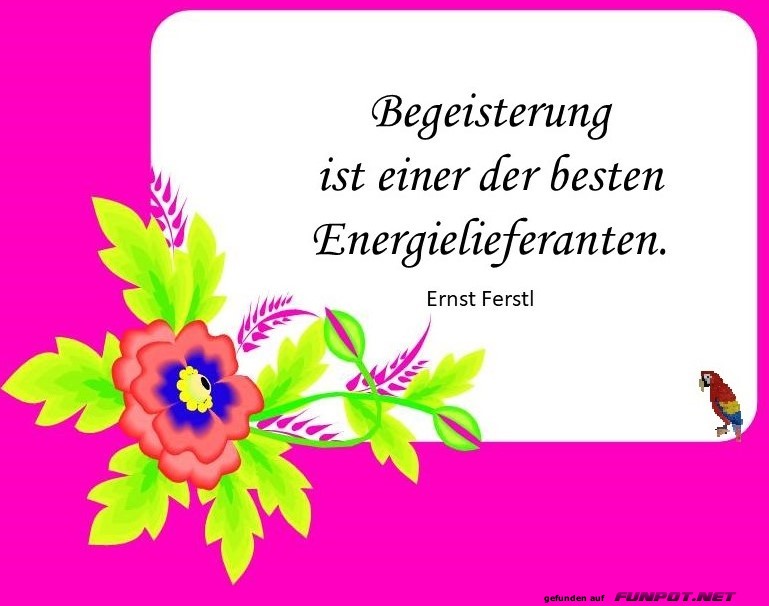 Begeisterung Begeisterung