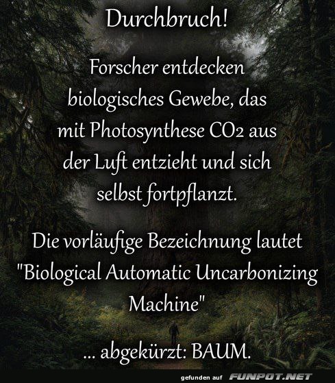 Biologisches Gewebe entdeckt: CO2-Entzug Biologisches Gewebe entdeckt: CO2-Entzug
