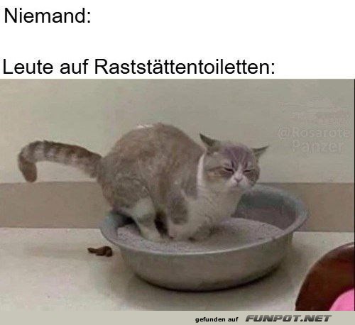 Kreativer Katzenhumor Kreativer Katzenhumor