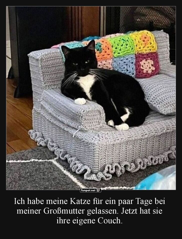 Katze auf selbstgestrickter Couch Katze auf selbstgestrickter Couch