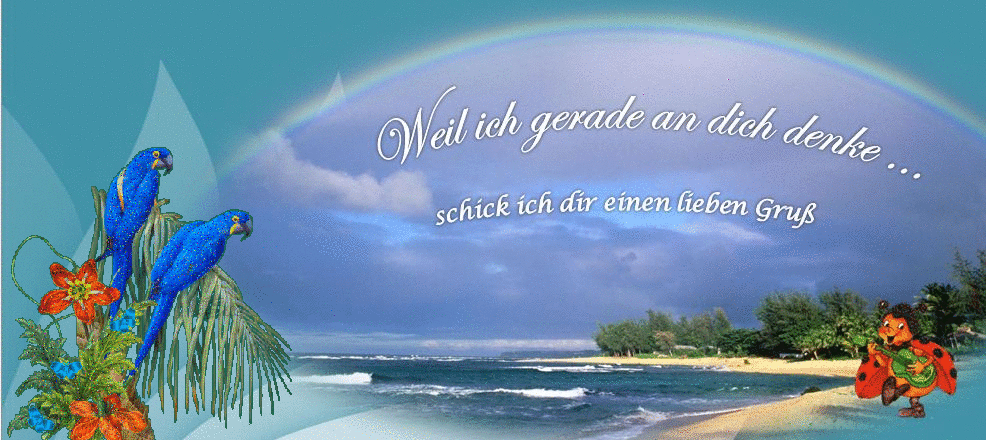 Lieber Gru