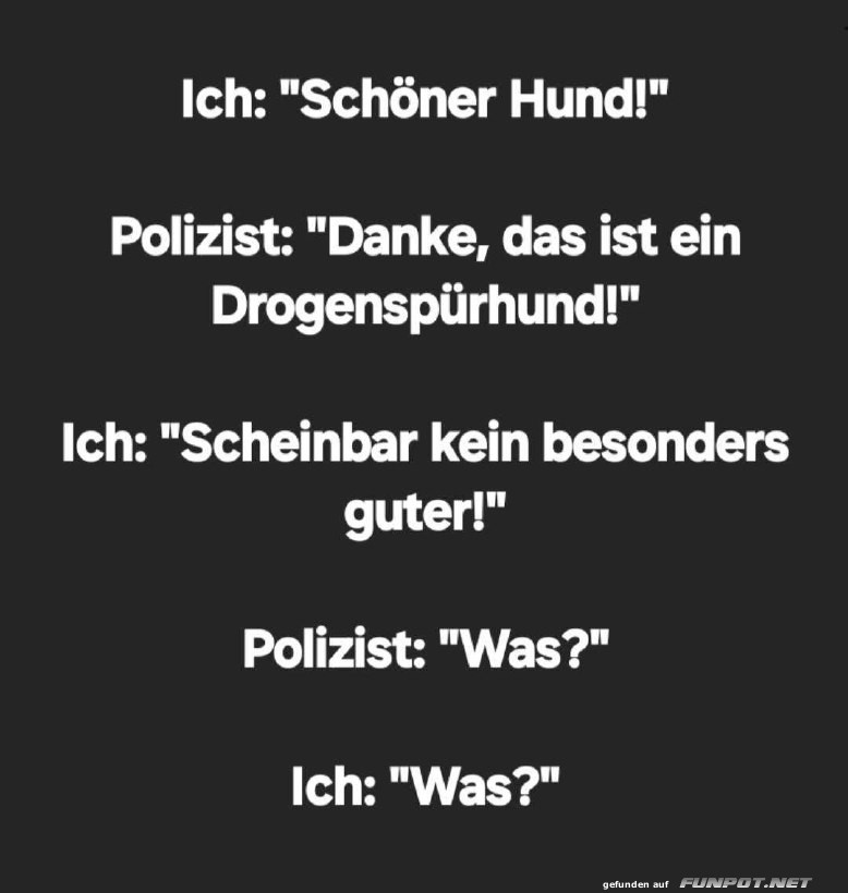 Lustiger Dialog mit Drogenhund Lustiger Dialog mit Drogenhund